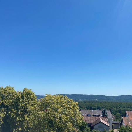 Moderne Ferien-Dachwohnung In Idyllischer Lage Neuweiler  Esterno foto